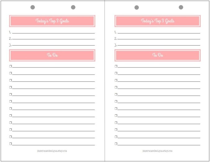 Snapshot Daily Planner Page  - Pink